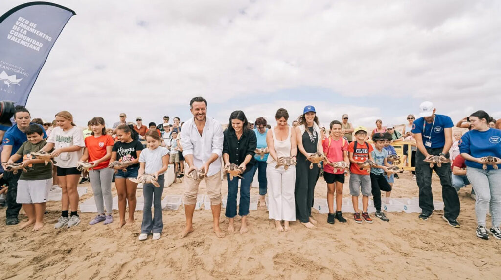 CELEBRACIÓN AMBIENTAL EN “LA MARINA”: LIBERAN 36 TORTUGAS CRIADAS EN EL LITORAL ILICITANO.