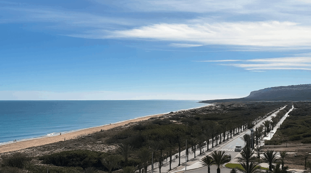 El Ayuntamiento de Elche ha puesto en marcha un ambicioso proyecto de reordenación urbana en Arenales del Sol, con el objetivo de mejorar la circulación, aumentar el número de plazas de aparcamiento y facilitar el acceso a esta zona costera, especialmente durante los meses de mayor afluencia turística