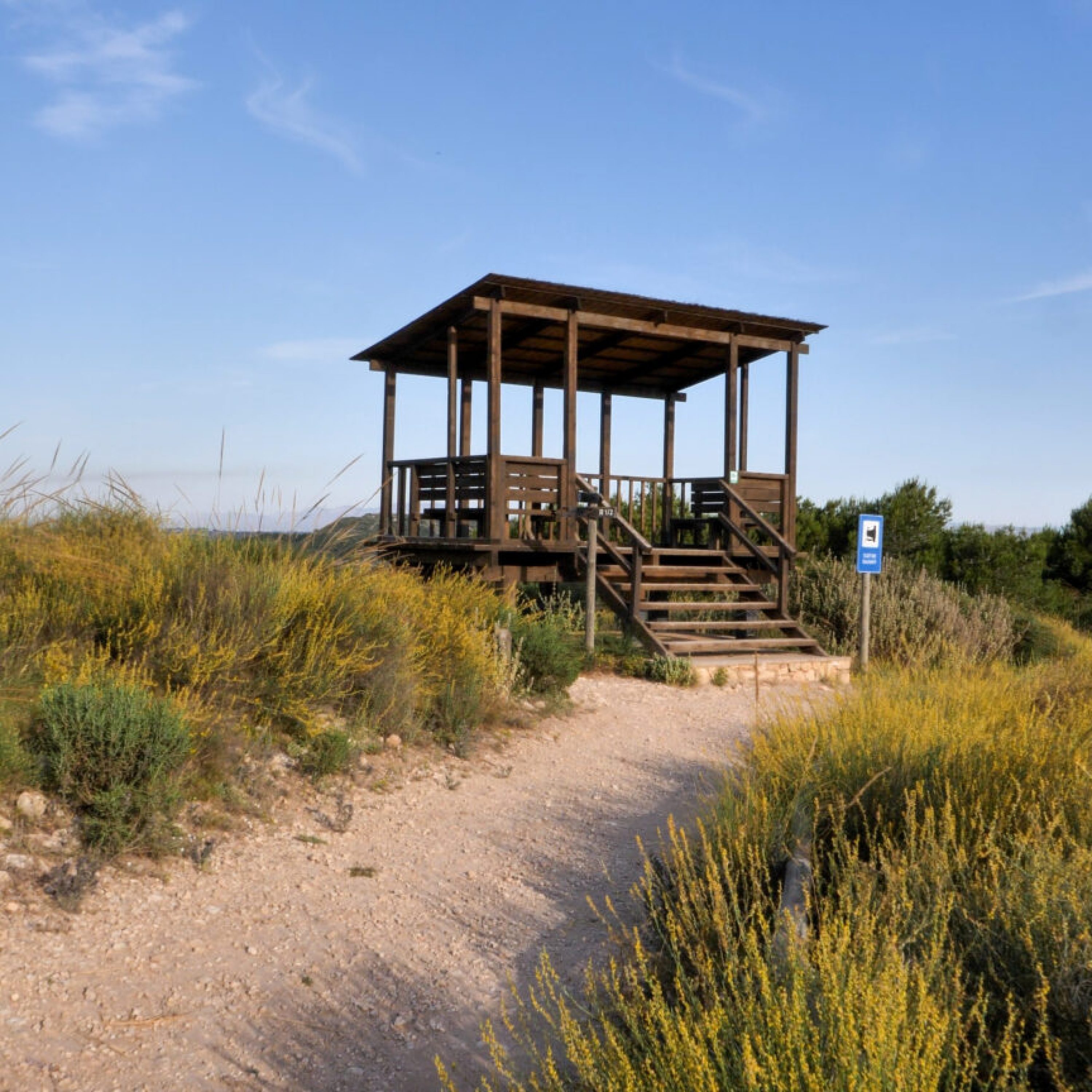 Clot-de-Galvany-Mirador-Elche-1536x864