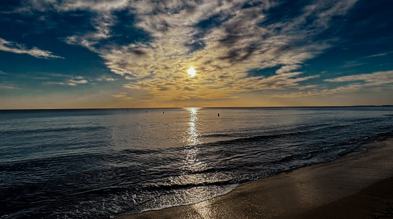 WhatsApp Image 2025-11-07 at 11.00.26