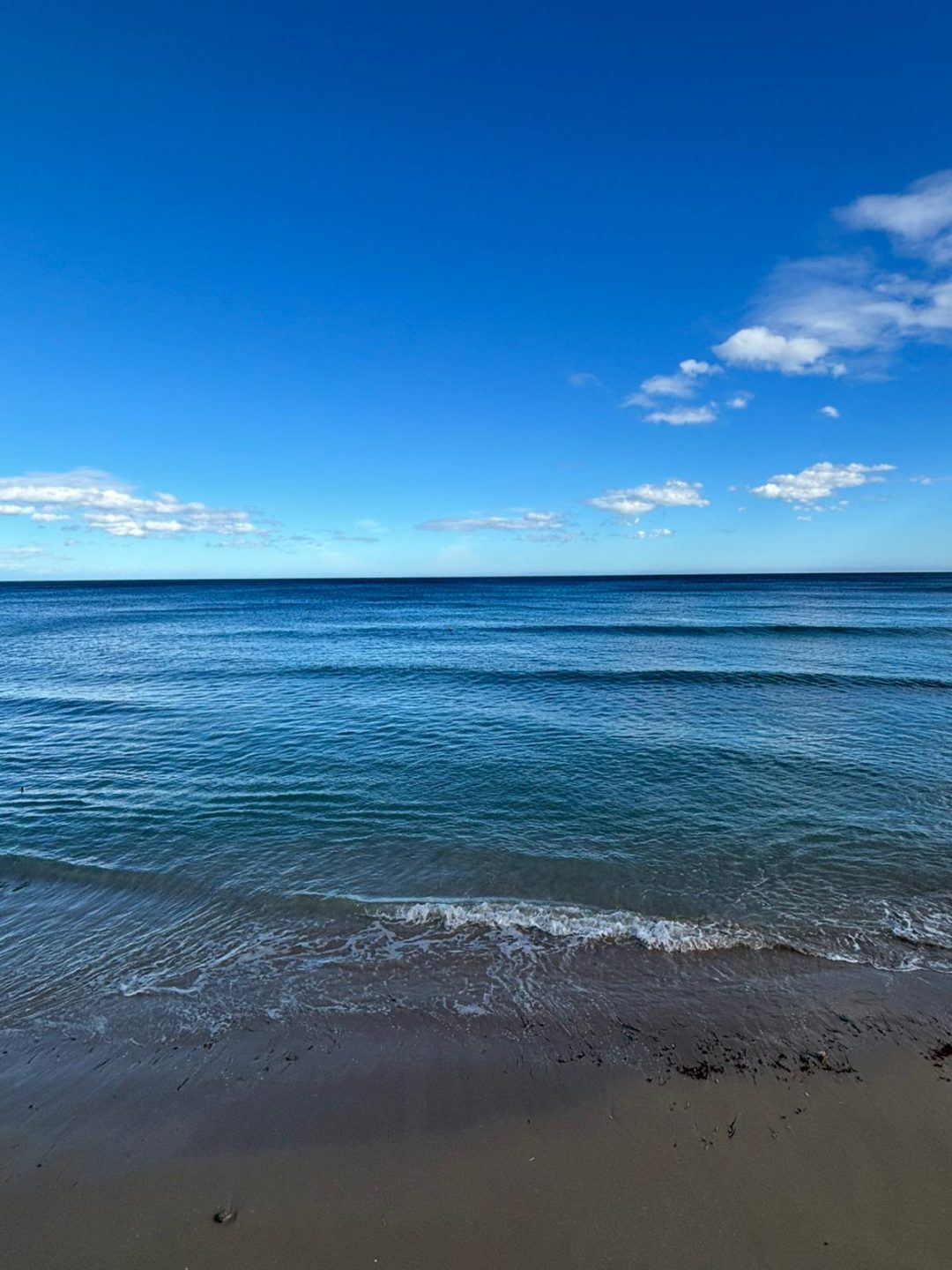 WhatsApp Image 2026-02-05 at 15.05.58 (1)