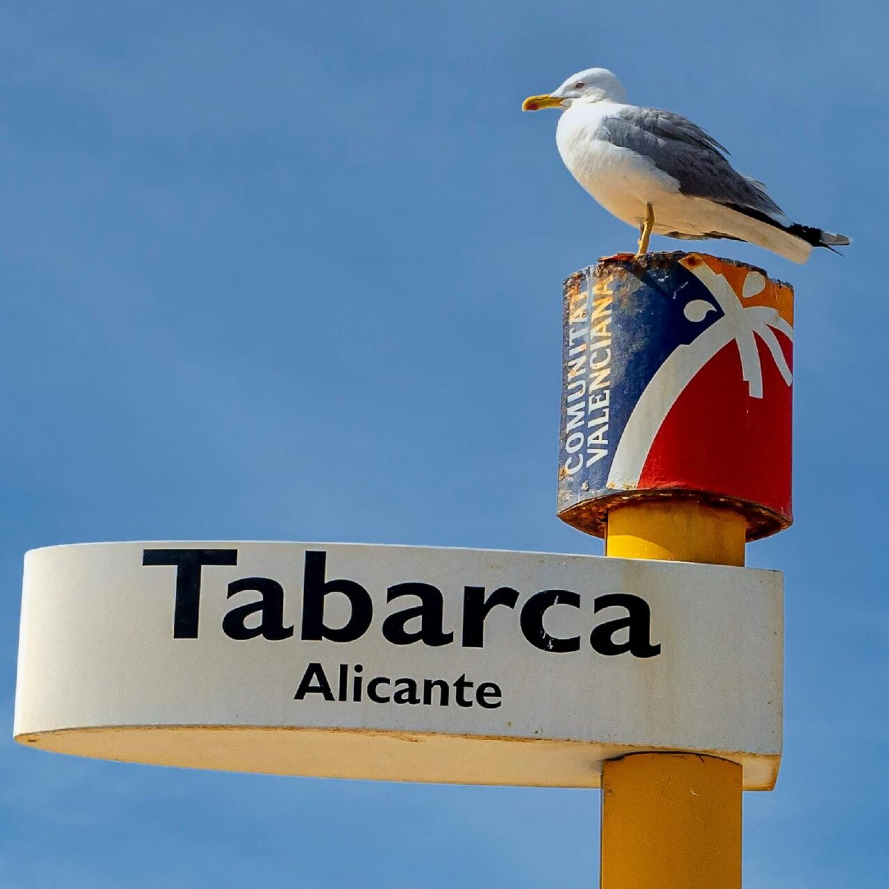 pexels-matoga-12702754